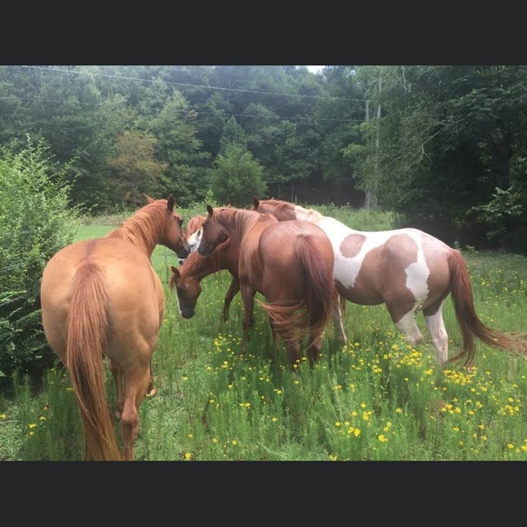 😃Hello there & Welcome...... - Picture 2 of 15